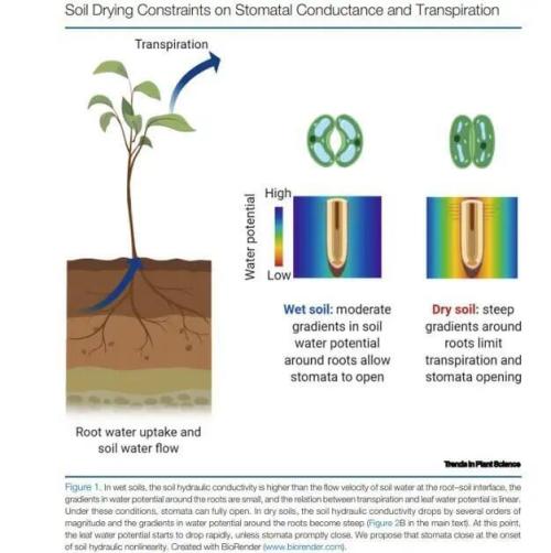 "1.618" CH#15. Week 0