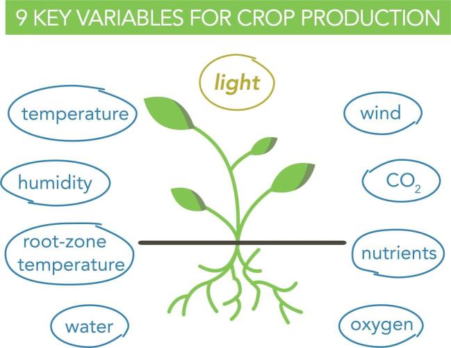 "1.618" CH#15. Week 0