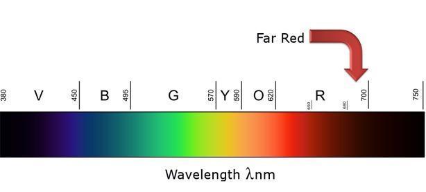 "1.618" CH#15. Week 0