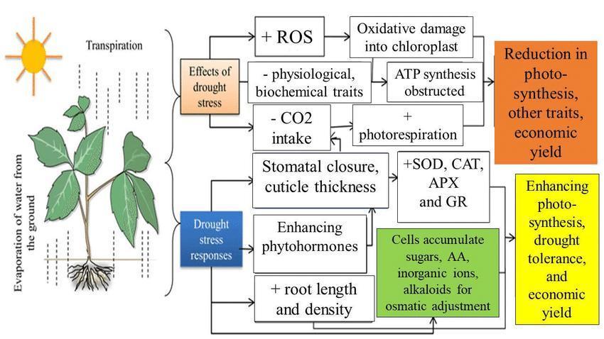 "1.618" CH#15. Week 0