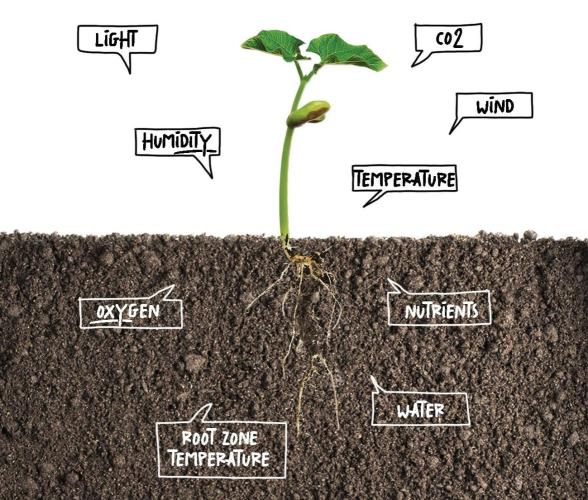 "1.618" CH#15. Week 0