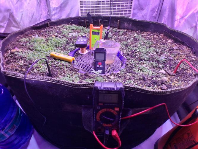 "1.618" CH#15. Week 1