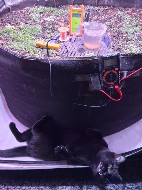 "1.618" CH#15. Week 1