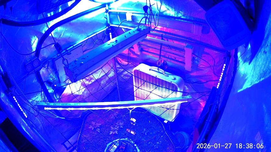 "1.618" CH#15. Week 1 - Nights 🌙 17ppfd