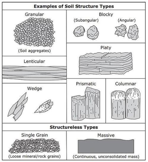 "1.618" CH#15. Week 1