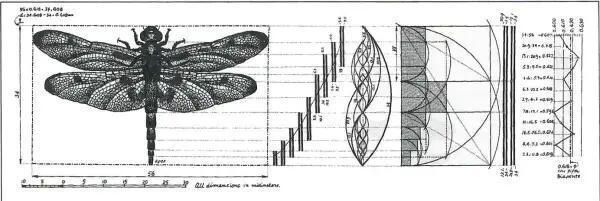 "1.618" CH#15. Week 2