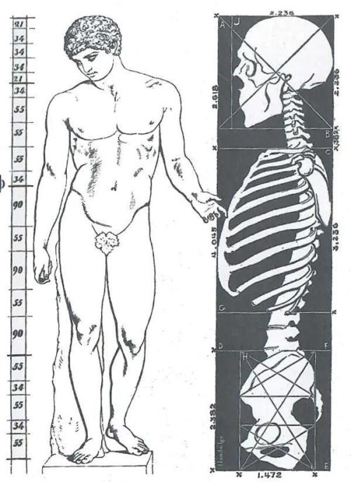 "1.618" CH#15. Week 2