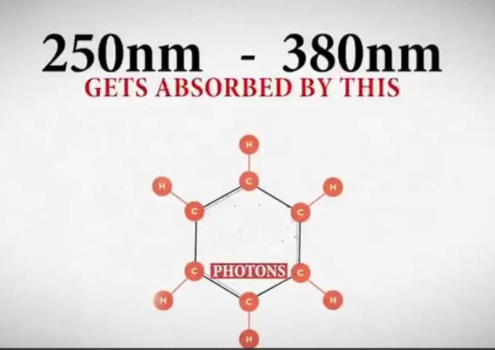 "1.618" CH#15. Week 1