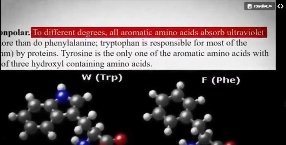 "1.618" CH#15. Week 1