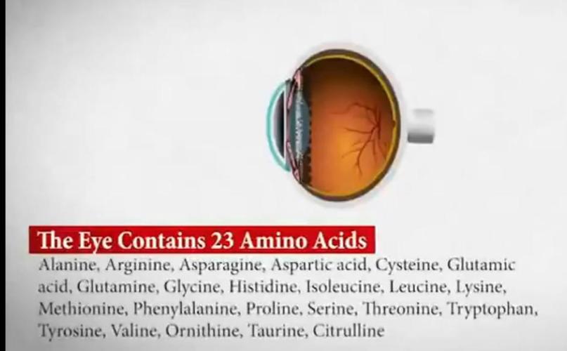 "1.618" CH#15. Week 1