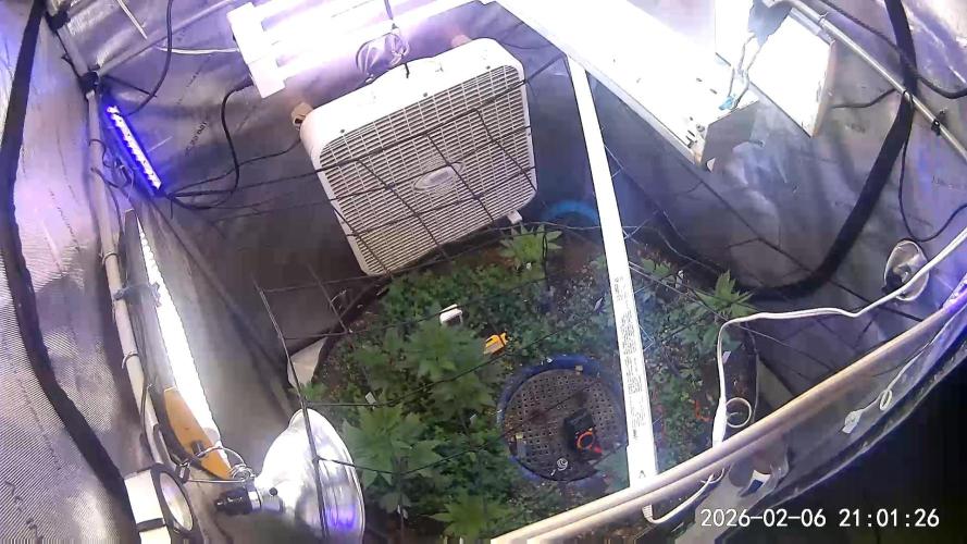 "1.618" CH#15. Week 3