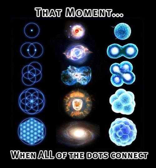 "1.618" CH#15. Week 3