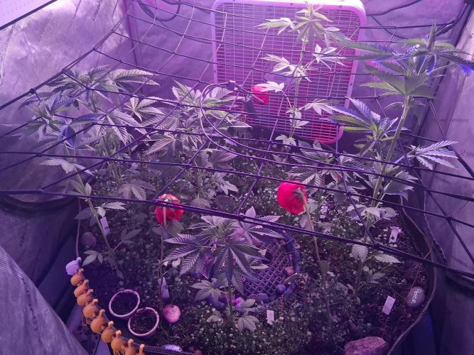 "Permanent Marker" CH#14. Week 5