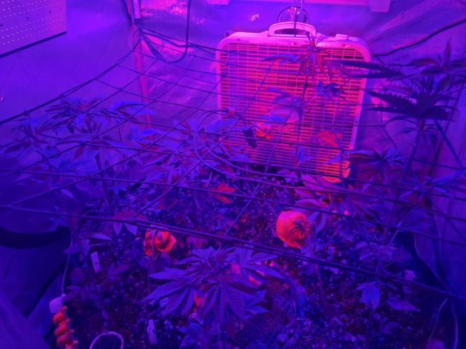 "Permanent Marker" CH#14. Week 5