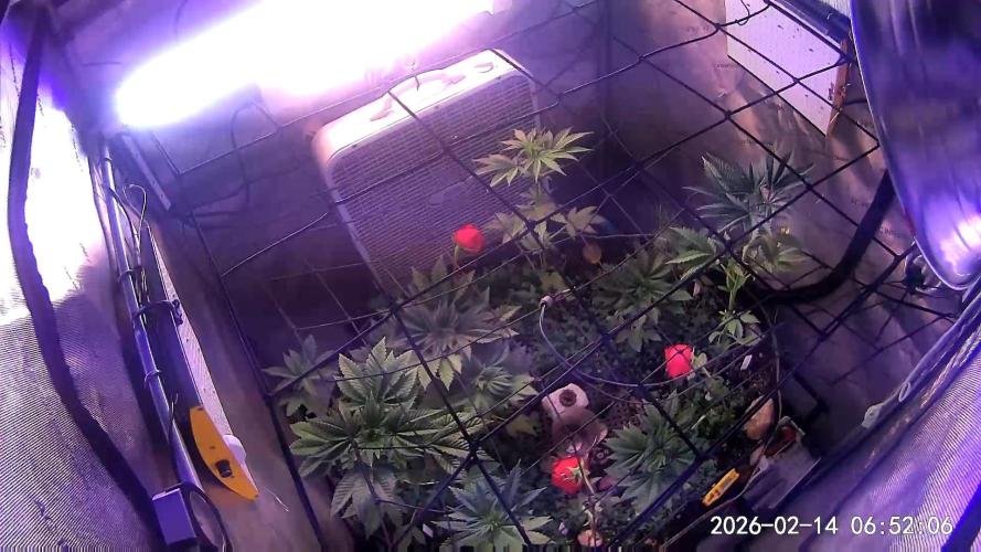 "Permanent Marker" CH#14. Week 5