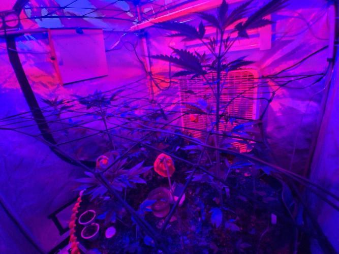 "Permanent Marker" CH#14. Week 5