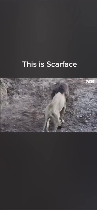 "Permanent Marker" CH#14