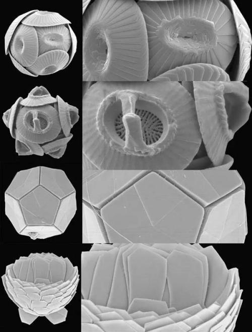 "Permanent Marker" CH#14. Week 3