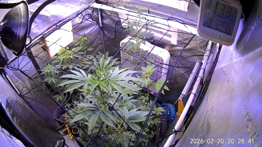 "Permanent Marker" CH#14. Week 6