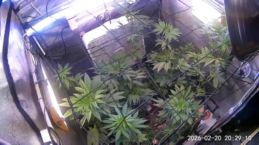 "Permanent Marker" CH#14. Week 6