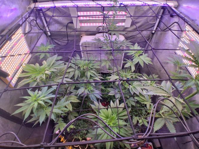 "Permanent Marker" CH#14. Week 6