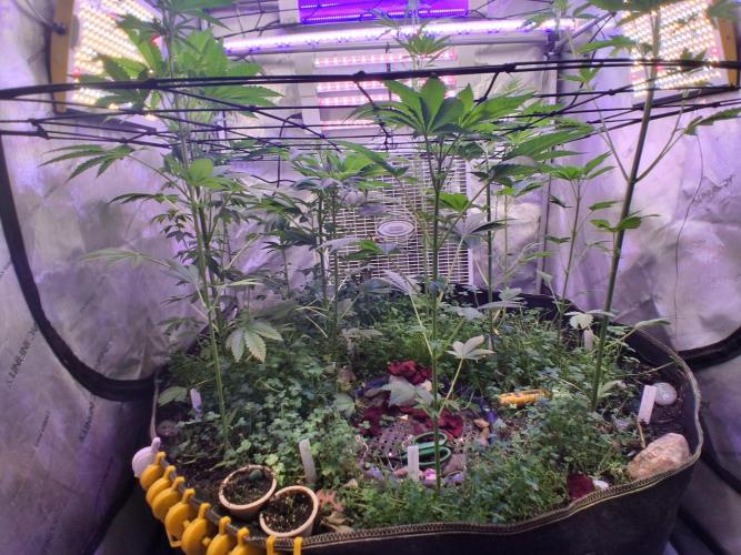 "Permanent Marker" CH#14. Week 6