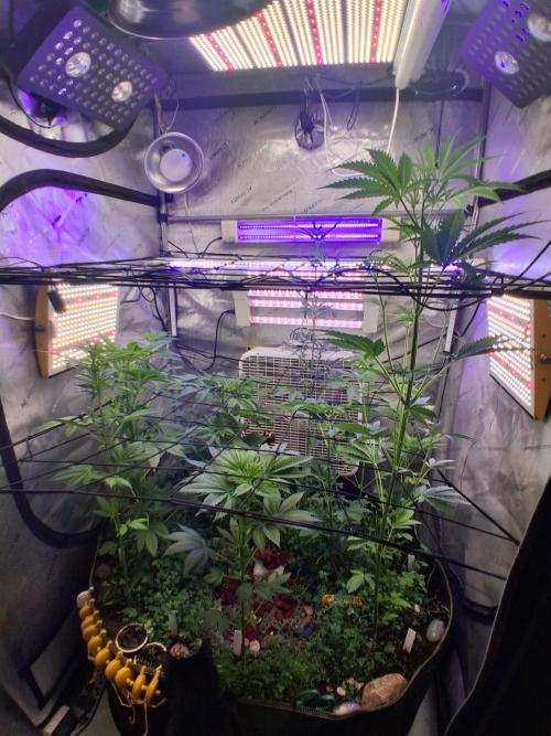 "Permanent Marker" CH#14. Week 6