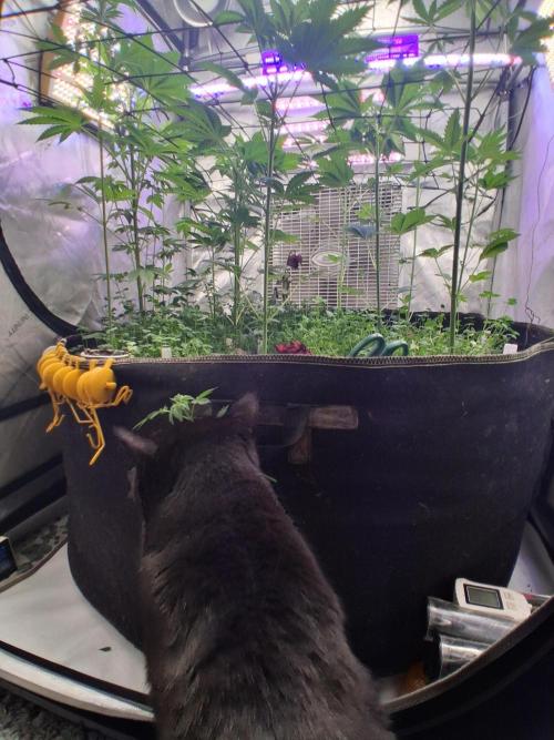 "Permanent Marker" CH#14. Week 6