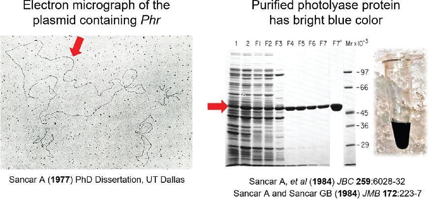 "Permanent Marker" CH#14. Week 6