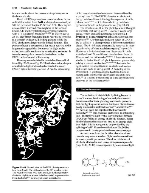 "Permanent Marker" CH#14. Week 6 - DNA repair