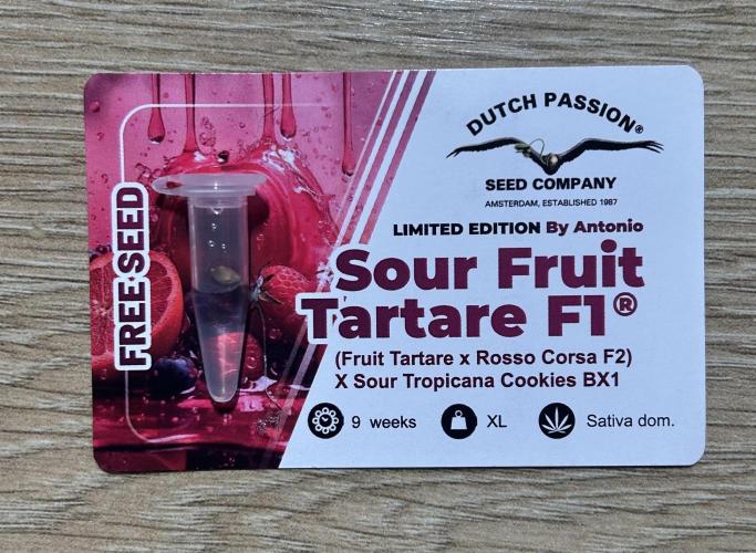 JOHATSU (蒸発). Week 0