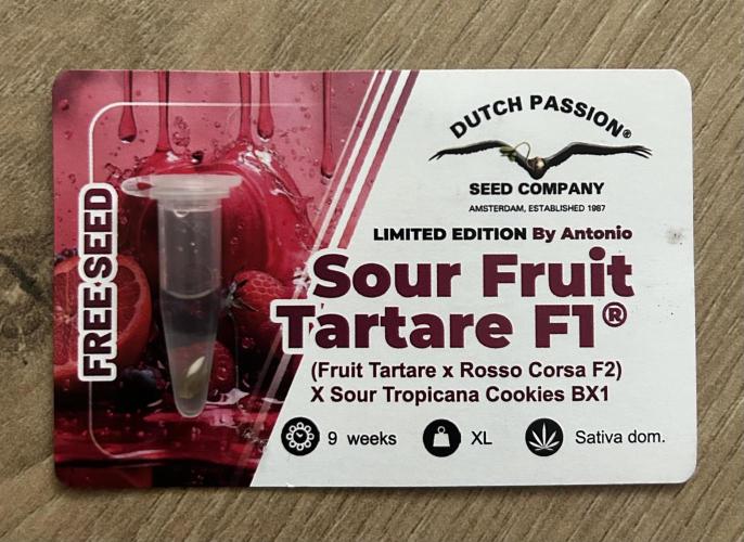 JOHATSU (蒸発). Week 0