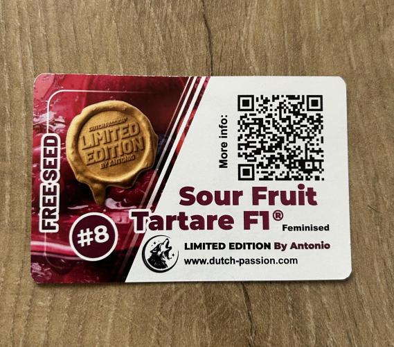 JOHATSU (蒸発). Week 0