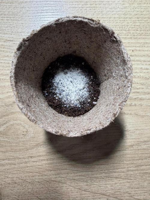 Recycled soil. Week 1