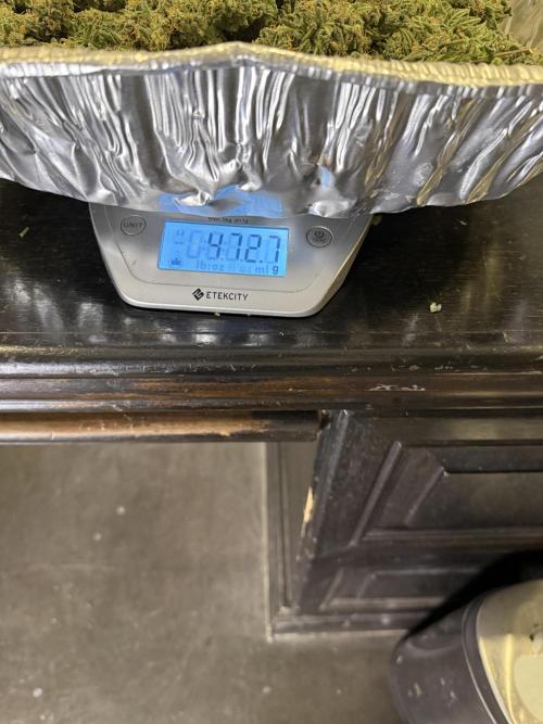 Lemon Cherry Cookies Auto-Fastbuds. Week 11 - Day 68-Gross Wet Wt