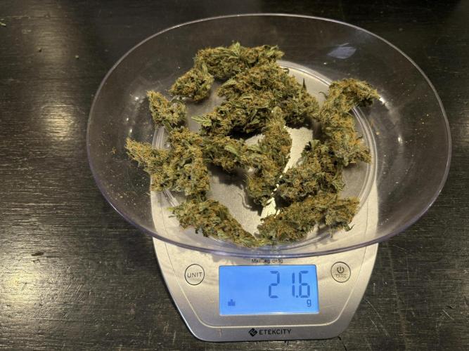 Lemon Cherry Cookies Auto-Fastbuds. Week 11 - Day 63-Tops 