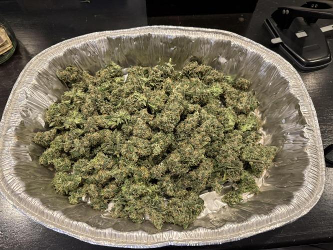 Lemon Cherry Cookies Auto-Fastbuds. Week 11 - Day 68