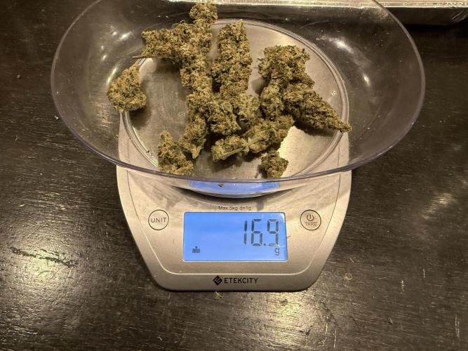 Lemon Cherry Cookies Auto-Fastbuds. Week 11 - Day 73-Cut #1-Less 2 grams I tested