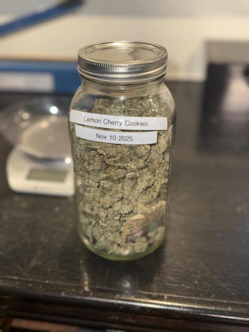 Lemon Cherry Cookies Auto-Fastbuds. Week 11 - Payday