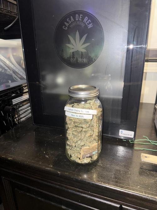 Lemon Cherry Cookies Auto-Fastbuds. Week 11 - Payday