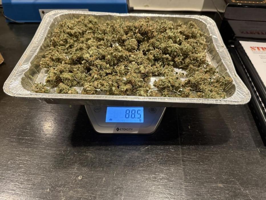 Mango Smile. Week 12