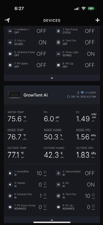 Gorilla Cookies Auto. Week 4 - Day 24-Scoreboard