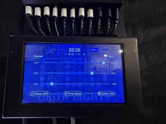 Gorilla Cookies Auto. Week 6 - Day 40