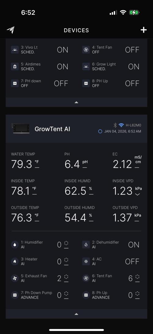 Gorilla Cookies Auto. Week 7 - Day 43-Tent Stats