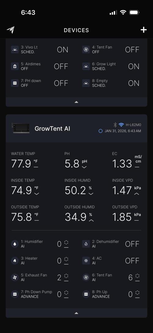 Gorilla Cookies Auto. Week 10 - Day 70-Current envoironment 
