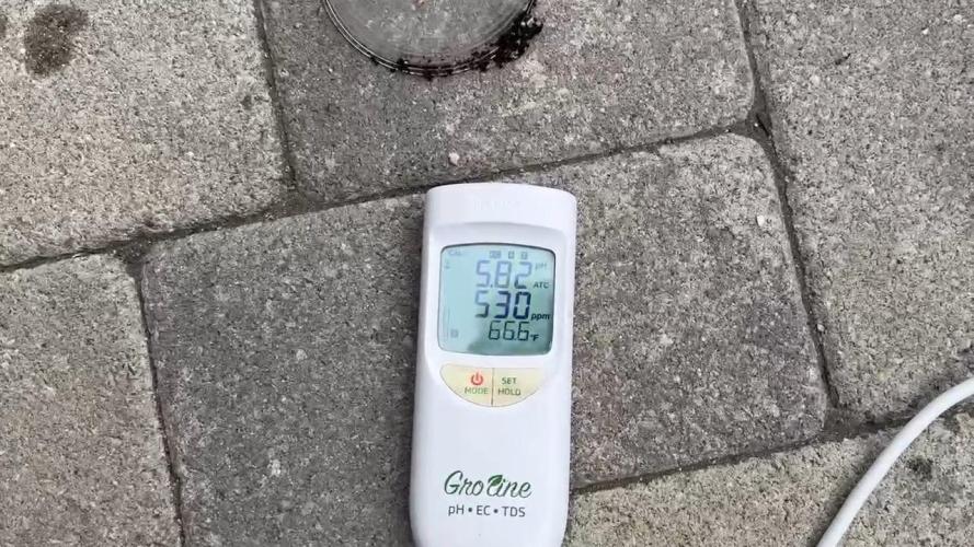 Jack Herer Auto. Week 1 - Day 6-first water to runoff input