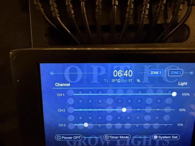 Jack Herer Auto. Week 2 - Day 9-Grow light settings (blue/red)