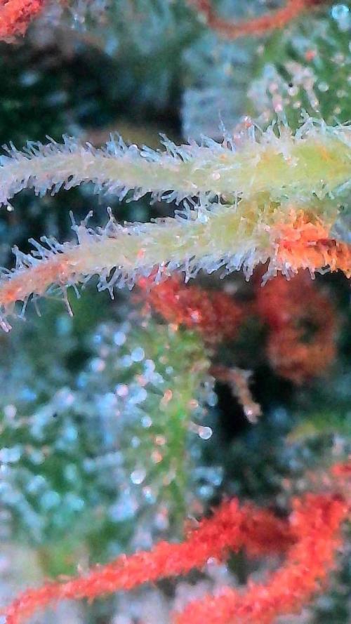 Cloudlab 864D. Week 11