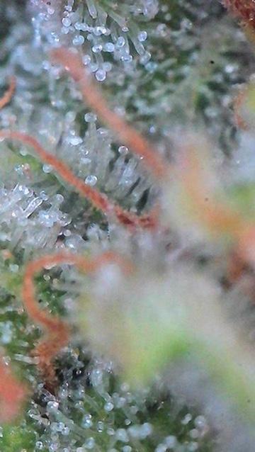 Cloudlab 864D. Week 12