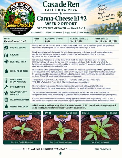 Canna Cheese 1:1 (2026) #1 & #2. Week 2 - CC2-Weekly Update